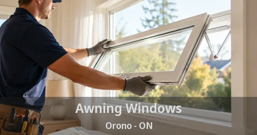 Awning Windows Orono - ON