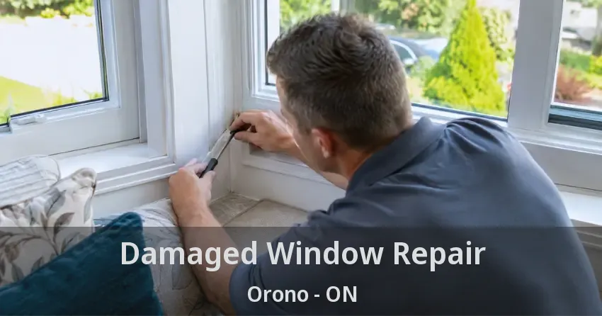 Damaged Window Repair Orono - ON