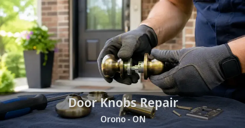 Door Knobs Repair Orono - ON