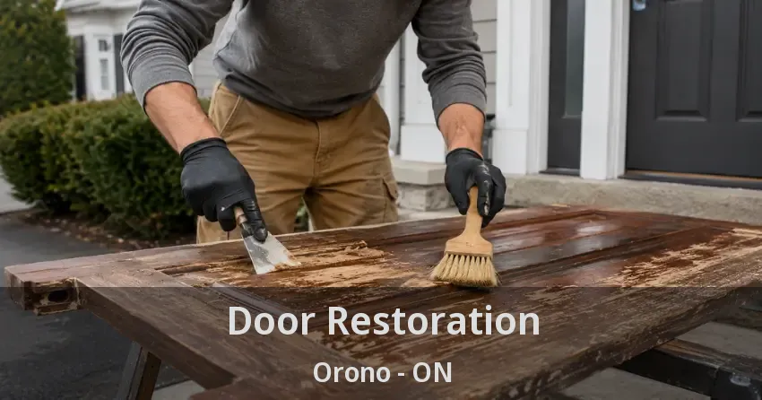 Door Restoration Orono - ON
