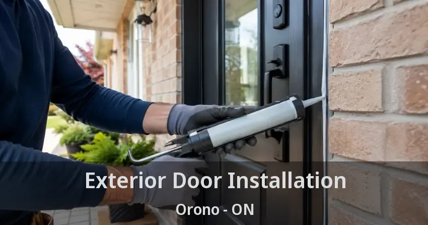 Exterior Door Installation Orono - ON