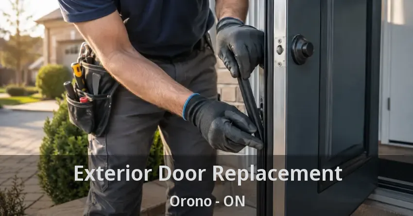 Exterior Door Replacement Orono - ON