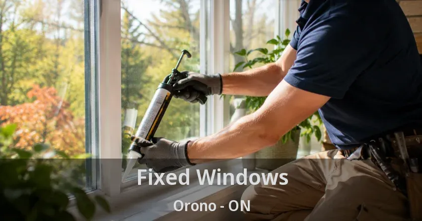 Fixed Windows Orono - ON