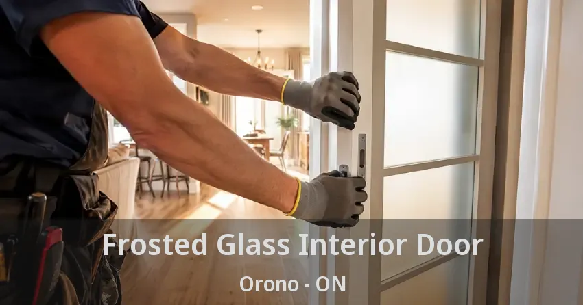 Frosted Glass Interior Door Orono - ON