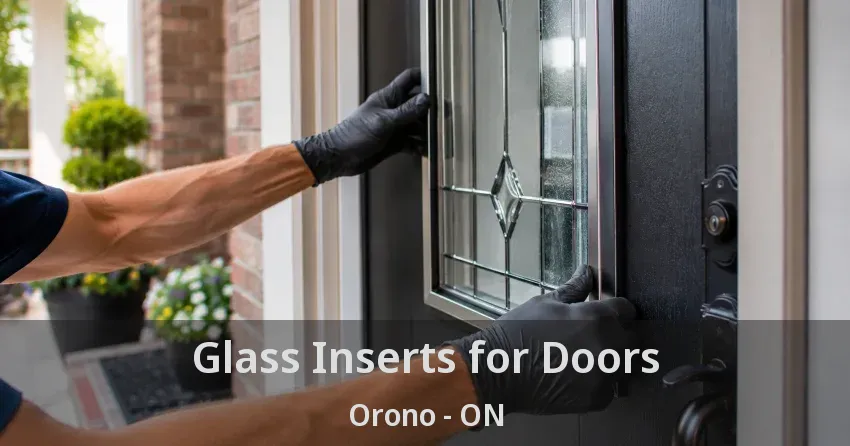 Glass Inserts for Doors Orono - ON