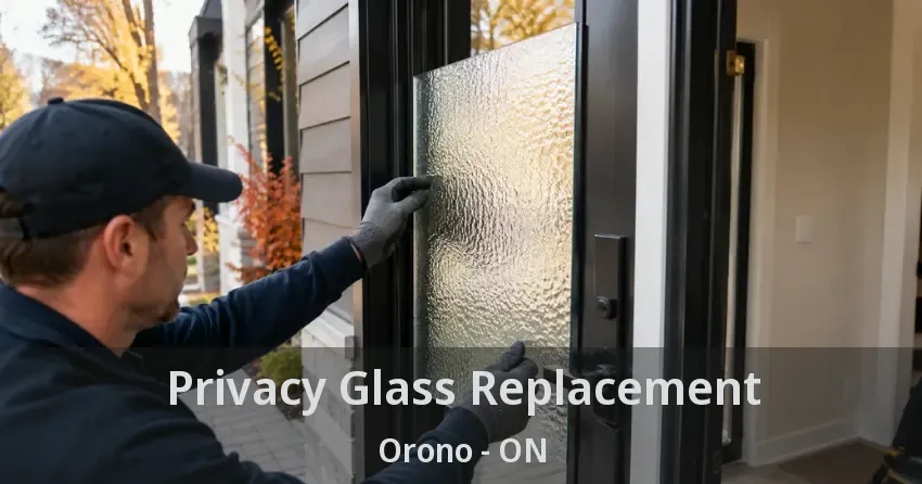 Privacy Glass Replacement Orono - ON