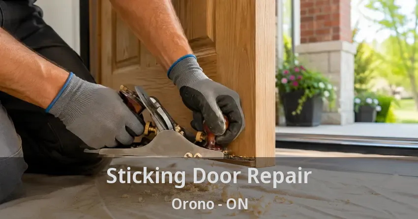 Sticking Door Repair Orono - ON