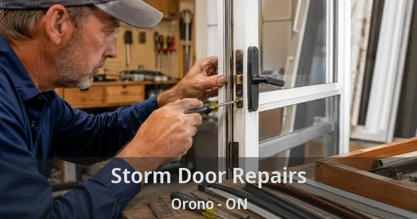 Storm Door Repairs Orono - ON