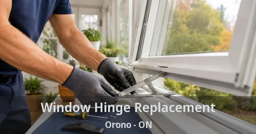 Window Hinge Replacement Orono - ON