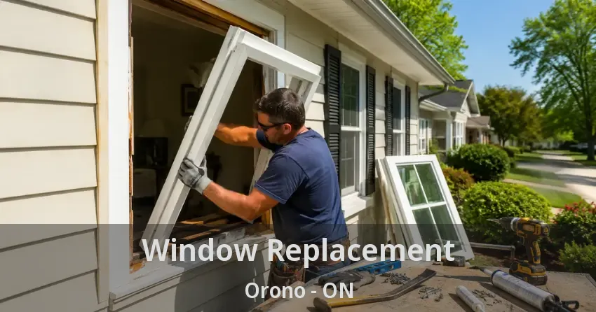Window Replacement Orono - ON